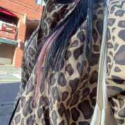 ヒメ日記 2024/12/23 10:07 投稿 ミユ【FG系列】 デリぽちゃin松戸（FG系列）