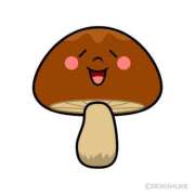 ヒメ日記 2025/06/09 11:41 投稿 れいか 大阪ぽっちゃりマニア 十三店