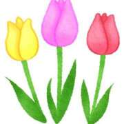 ヒメ日記 2025/09/20 17:25 投稿 れいか 大阪ぽっちゃりマニア 十三店