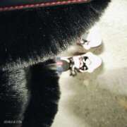 ヒメ日記 2025/01/01 20:51 投稿 さや 川越ぷよステーション