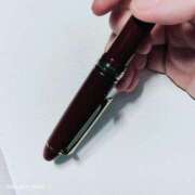 ヒメ日記 2025/05/02 00:23 投稿 さや 川越ぷよステーション