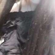 ヒメ日記 2025/03/10 19:23 投稿 さや ぷよステーション大宮店