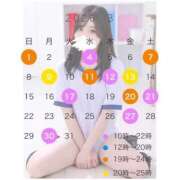 ヒメ日記 2026/02/20 23:23 投稿 萌香 める アリス女学院 日本橋校