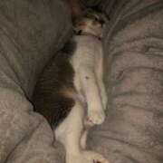 ヒメ日記 2025/04/09 09:54 投稿 舞夏/まいか ANEJE～アネージュ池袋～(ユメオト)