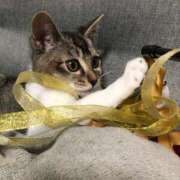 ヒメ日記 2025/06/09 21:14 投稿 舞夏/まいか ANEJE～アネージュ池袋～(ユメオト)