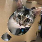 ヒメ日記 2025/07/12 10:32 投稿 舞夏/まいか ANEJE～アネージュ池袋～(ユメオト)