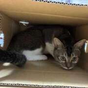 ヒメ日記 2025/07/22 16:30 投稿 舞夏/まいか ANEJE～アネージュ池袋～(ユメオト)