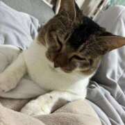 ヒメ日記 2025/10/27 17:57 投稿 舞夏/まいか ANEJE～アネージュ池袋～(ユメオト)