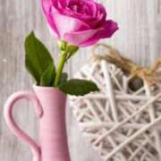 ヒメ日記 2024/12/16 06:33 投稿 ゆず いわき小名浜ちゃんこ