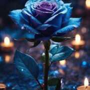 ヒメ日記 2024/12/29 08:13 投稿 ゆず いわき小名浜ちゃんこ