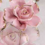 ヒメ日記 2025/01/02 07:33 投稿 ゆず いわき小名浜ちゃんこ