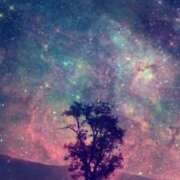 ヒメ日記 2025/02/05 00:33 投稿 ゆず いわき小名浜ちゃんこ