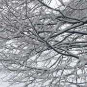 ヒメ日記 2025/03/03 12:43 投稿 ゆず いわき小名浜ちゃんこ