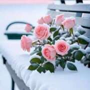 ヒメ日記 2025/03/05 00:53 投稿 ゆず いわき小名浜ちゃんこ