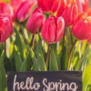 ヒメ日記 2025/04/02 13:43 投稿 ゆず いわき小名浜ちゃんこ