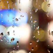 ヒメ日記 2025/04/03 10:43 投稿 ゆず いわき小名浜ちゃんこ