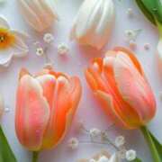 ヒメ日記 2025/04/21 00:43 投稿 ゆず いわき小名浜ちゃんこ