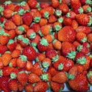 ヒメ日記 2025/06/02 22:11 投稿 ゆず いわき小名浜ちゃんこ