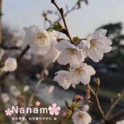 ヒメ日記 2025/03/29 07:50 投稿 桐谷 奈々美［L］ モンテクラブ