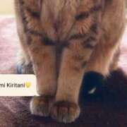 ヒメ日記 2025/11/22 09:02 投稿 桐谷 奈々美［L］ モンテクラブ