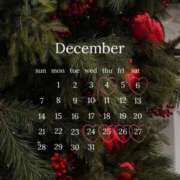 ヒメ日記 2025/12/01 11:19 投稿 桐谷 奈々美［L］ モンテクラブ