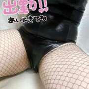 ヒメ日記 2025/02/14 12:43 投稿 睡蓮 BBW五反田店