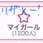 ヒメ日記 2025/11/26 23:33 投稿 睡蓮 BBW五反田店