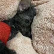 ヒメ日記 2025/02/07 22:24 投稿 悠亜（ゆあ） PLUS難波店