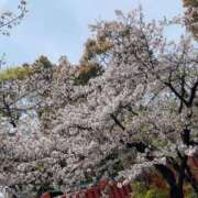 ヒメ日記 2025/04/08 15:14 投稿 悠亜（ゆあ） PLUS難波店