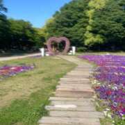 ヒメ日記 2025/04/19 12:05 投稿 悠亜（ゆあ） PLUS難波店