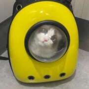 ヒメ日記 2025/09/18 08:34 投稿 悠亜（ゆあ） PLUS難波店