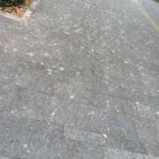 ヒメ日記 2025/10/21 16:44 投稿 悠亜（ゆあ） PLUS難波店