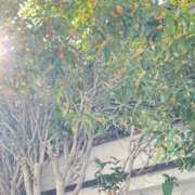 ヒメ日記 2025/10/30 14:34 投稿 悠亜（ゆあ） PLUS難波店