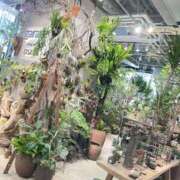 悠亜（ゆあ） 癒し🖤 PLUS難波店