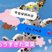 さんご ♡てりたまさんご日記♡ 和風パブ大江戸