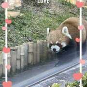 ヒメ日記 2025/04/17 14:12 投稿 じゅん 池袋あられ