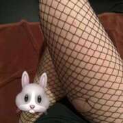 ヒメ日記 2025/02/11 14:58 投稿 まり ドMなバニーちゃん すすきの店