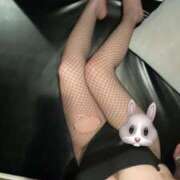 ヒメ日記 2025/04/20 10:05 投稿 まり ドMなバニーちゃん すすきの店