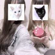 ヒメ日記 2026/03/06 22:52 投稿 アイル ギャルズネットワーク 姫路