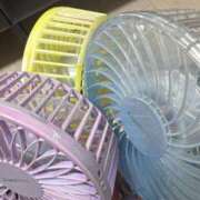 ヒメ日記 2025/07/08 19:51 投稿 ゆりほ ウルトラグレイス24