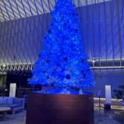 ヒメ日記 2024/12/24 21:52 投稿 もえ 奥様はエンジェル　八王子店