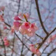 ヒメ日記 2025/04/07 17:43 投稿 もえ 奥様はエンジェル　八王子店