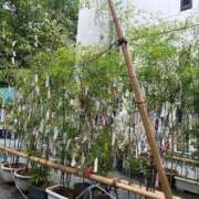 ヒメ日記 2025/07/07 12:38 投稿 もえ 奥様はエンジェル　八王子店