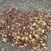 もえ おはよっ 奥様はエンジェル　八王子店