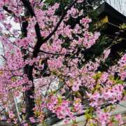 ヒメ日記 2026/03/02 16:58 投稿 もえ 奥様はエンジェル　八王子店