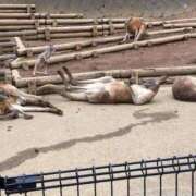 もえ ４月 奥様はエンジェル　八王子店