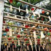 ヒメ日記 2026/07/15 08:15 投稿 もえ 奥様はエンジェル　八王子店