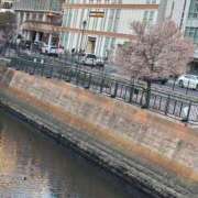 ヒメ日記 2025/03/08 18:49 投稿 ゆいか 名古屋Ｍ性感 ルーフ倶楽部