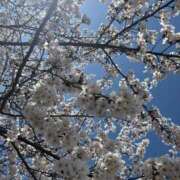 ヒメ日記 2025/04/03 13:25 投稿 ゆいか 名古屋Ｍ性感 ルーフ倶楽部