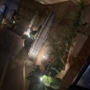 らん 月曜日出勤です 人妻小旅行